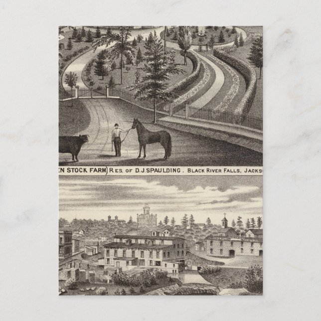 Carte Postale Ferme Stock à feuillage persistant, res (Devant)