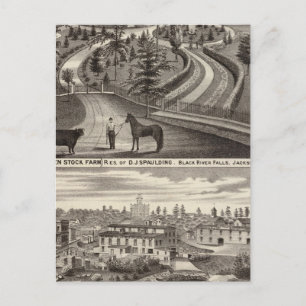 Carte Postale Ferme Stock à feuillage persistant, res