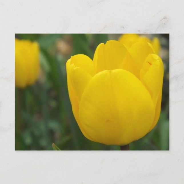 Carte Postale Fermer et personnel (Devant)