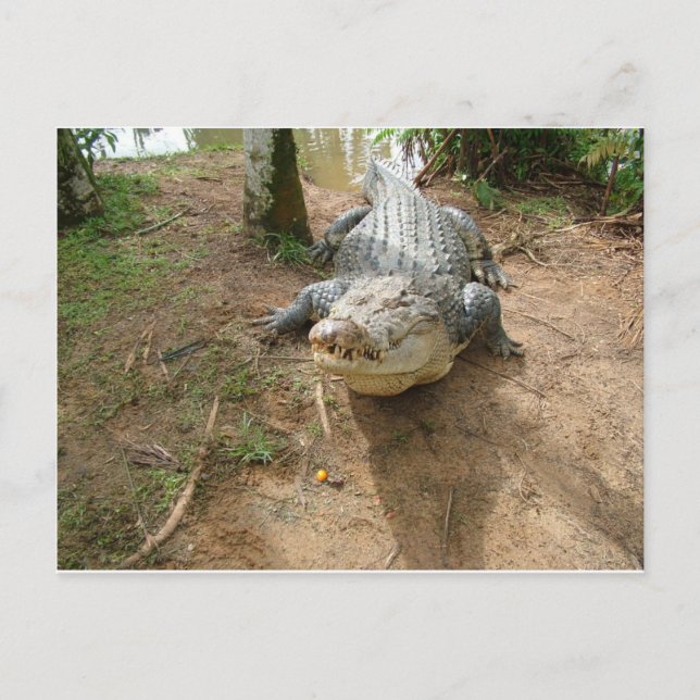 Carte Postale Fermer l'appel (Devant)