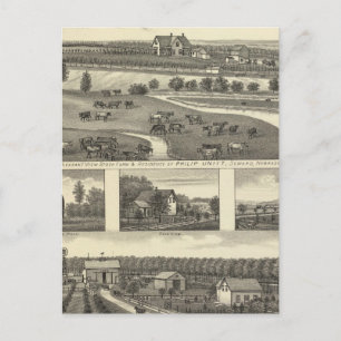 Carte Postale Fermes à Vent, Nebraska