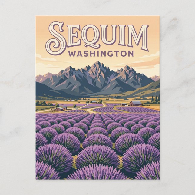 Carte Postale Fermes de lavande de Sequim Washington (Devant)