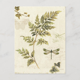 Carte Postale Fermes décoratives et libellules