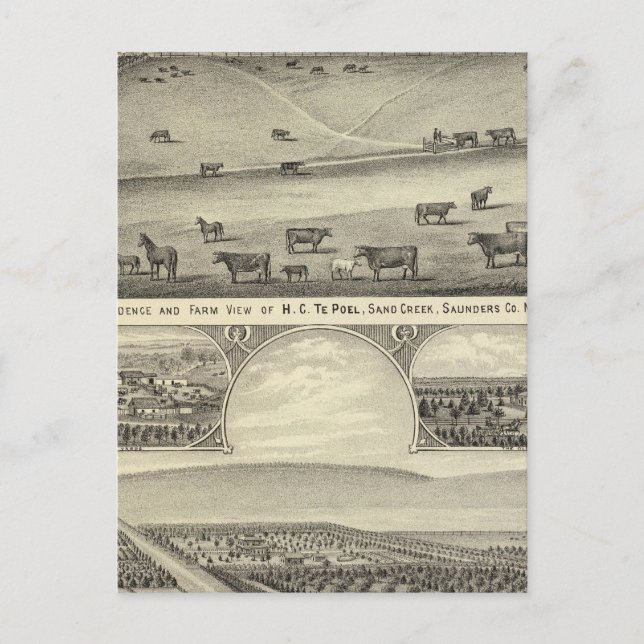 Carte Postale Fermes du comté de Saunders, Nebraska (Devant)