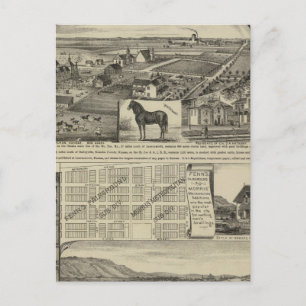 Carte Postale Fermes du Kansas