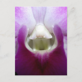 Carte Postale fermeture de Orchid Flower