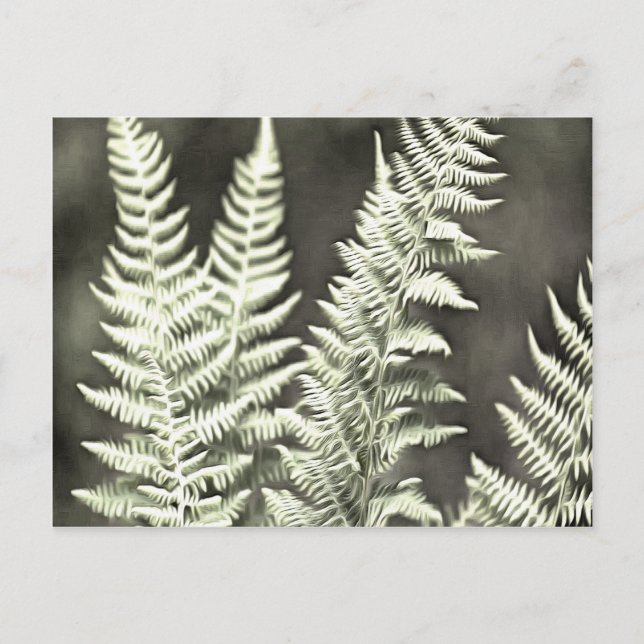 Carte Postale Fern Artistic Abstrait (Devant)