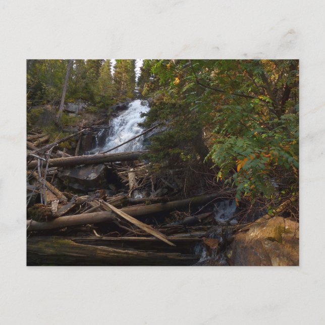 Carte Postale Fern Falls à Rocky Mountain National Park (Devant)