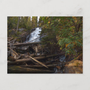 Carte Postale Fern Falls au parc national Rocky Mountain