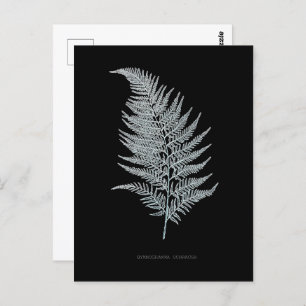 Carte Postale Fern - Gymnogramma Ochracea - Effet rayons X - 02