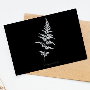 Carte Postale Fern - Gymnogramma Sulphurée - Effet de rayons X -