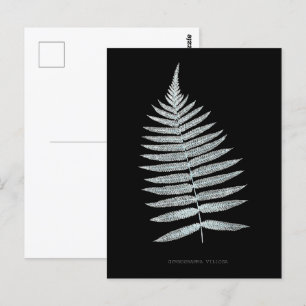 Carte Postale Fern - Gymnogramma Villosa - Effet de rayons X - 0