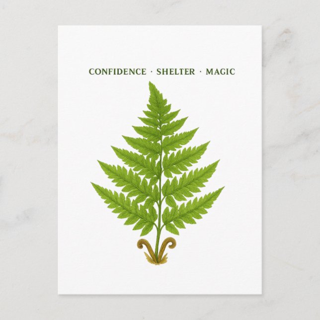Carte Postale Fern Signification (Devant)