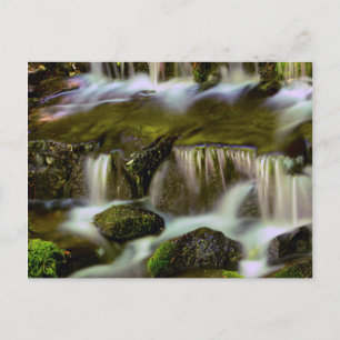 Carte Postale Fern Spring, Yosemite National Park, Californie