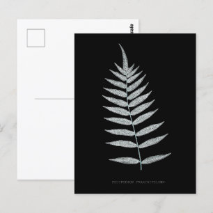 Carte Postale Ferne - Polypodyum Fraxinifolium - Effet de rayons