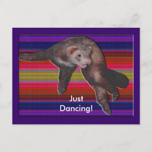 Carte Postale Ferret de danse