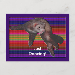 Carte Postale Ferret de danse