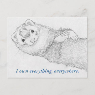Carte postale Ferret - Pandora Owns