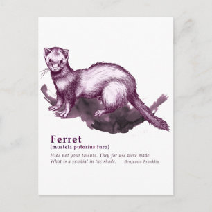 Carte Postale Ferret - vin
