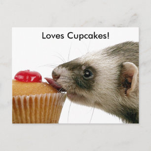 Carte Postale Ferrets Love Cupcakes