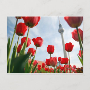 Carte Postale Fersehturm Télévision Tour Berlin Allemagne