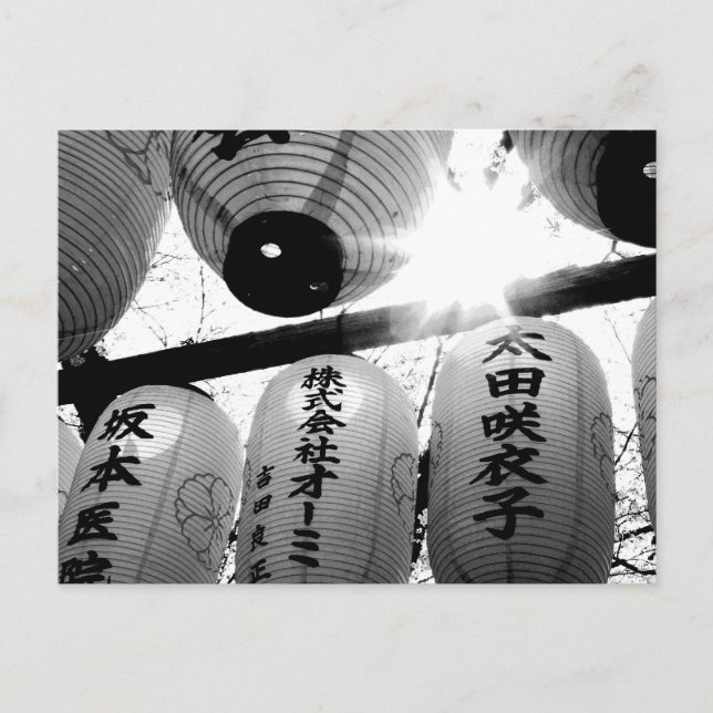 Carte Postale Festival Cherry Blossom : Sanctuaire Hirano, Kyoto (Devant)