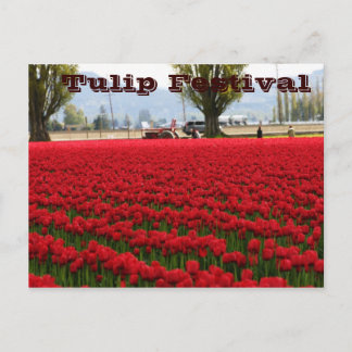 Carte Postale Festival de tulipe