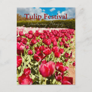 Carte Postale Festival des tulipes, Dandenong Ranges, Victoria