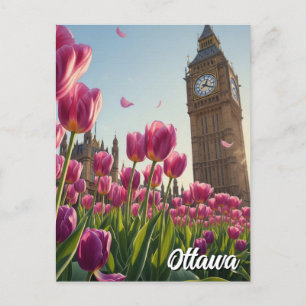Carte Postale Festival Tulip à Ottawa Voyage Canada