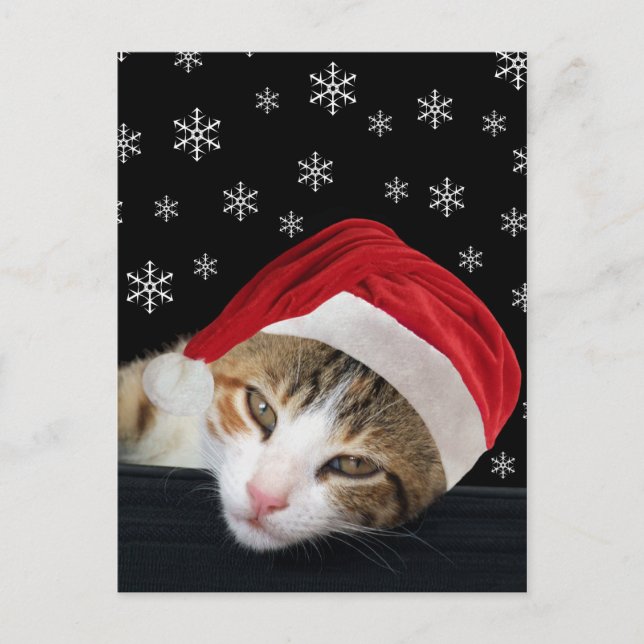 Carte postale Festive Cat Christmas (Devant)