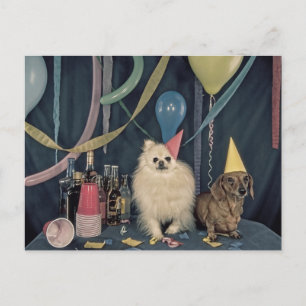 Carte Postale Fête d'anniversaire avec chiens et boissons