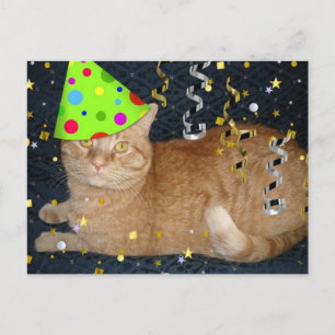 Carte Postale Fête d'anniversaire Orange Tabby Cat