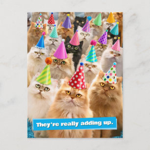 Carte Postale Fête de chats