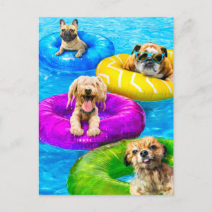 Carte Postale Fête de chien dans la piscine