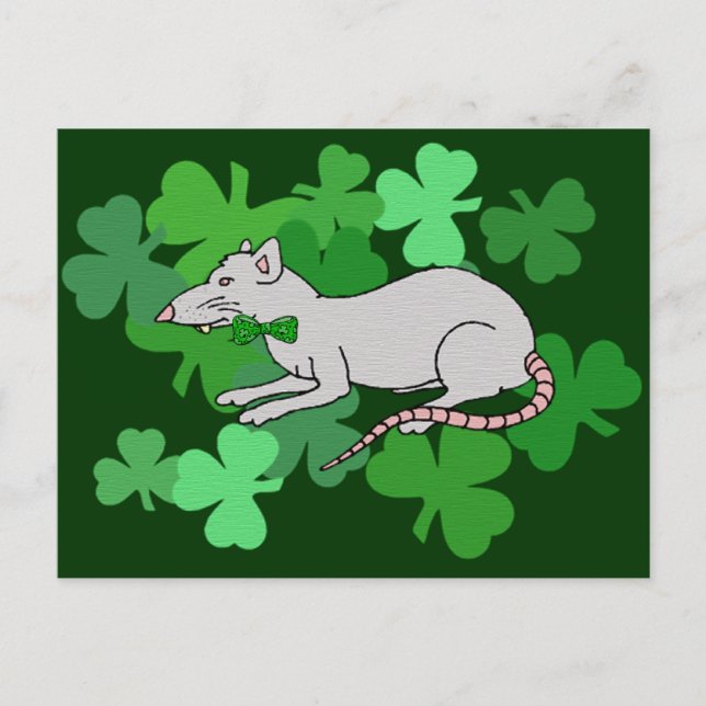 Carte Postale Fête de la Saint-Patrick Rat (Devant)