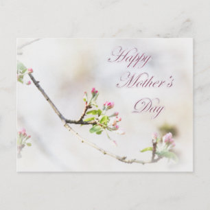 Carte Postale Fête des mères Apple Blossom