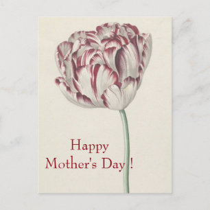 Carte Postale Fête des Mères - Art Vintage Blanc & Rouge Tulip