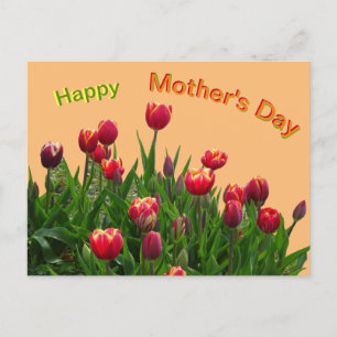 Carte postale Fête des mères de tulipes violettes