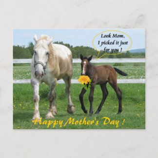 Carte Postale Fête des Mères Horsy