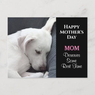 Carte Postale Fête des Mères Photo de mignon chien blanc dormant