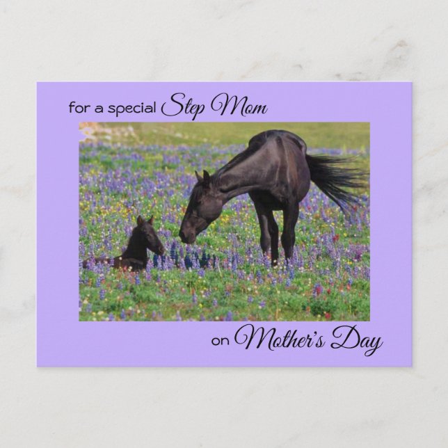Carte Postale Fête des mères pour pas Maman Mare & Foal Photo (Devant)
