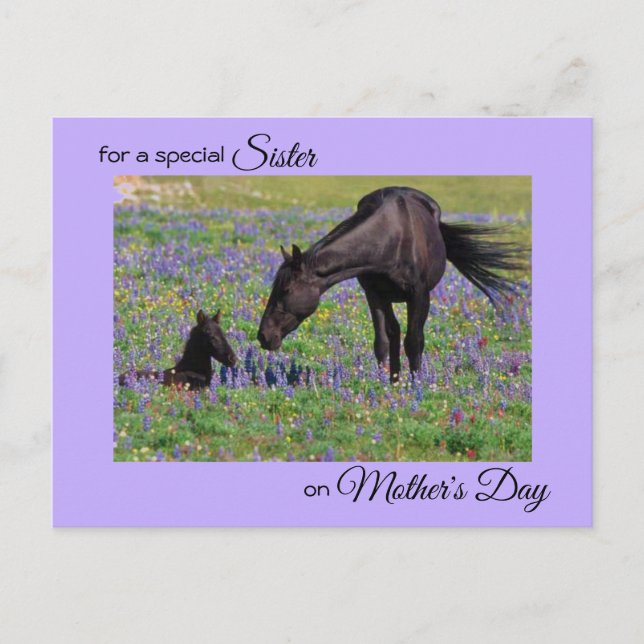 Carte Postale Fête des Mères pour Soeur Mare & Foal Photo (Devant)