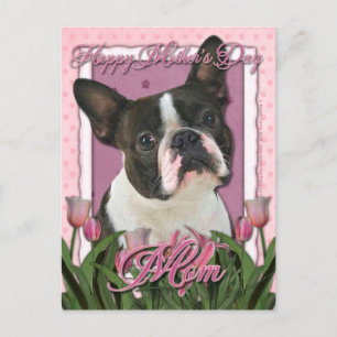 Carte Postale Fête des mères - Tulipes roses - Boston Terrier