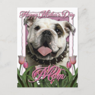 Carte Postale Fête des mères - Tulipes roses - Bulldog