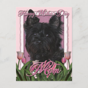 Carte Postale Fête des mères - Tulipes roses - Cairn Terrier - R