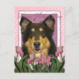 Carte Postale Fête des mères - Tulipes roses - Collie - Caroline