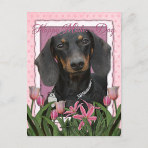 Carte Postale Fête des mères - Tulipes roses - Dachshund - Winst