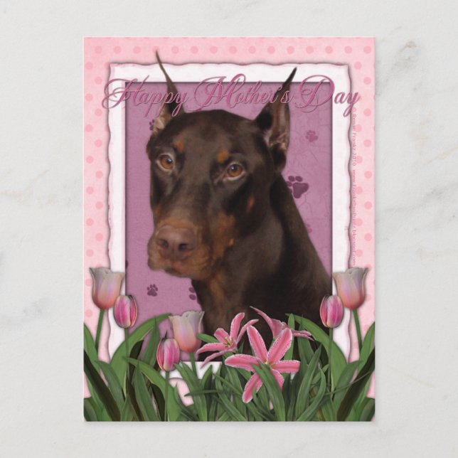 Carte Postale Fête des mères - Tulipes roses - Doberman - Rouge  (Devant)