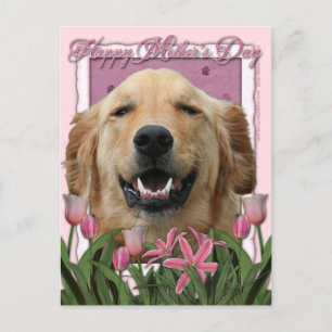 Carte Postale Fête des mères - Tulipes roses - Golden Retriever