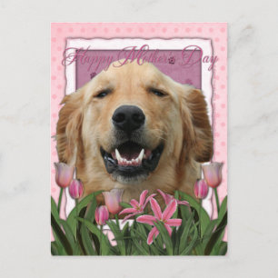 Carte Postale Fête des mères - Tulipes roses - Golden Retriever